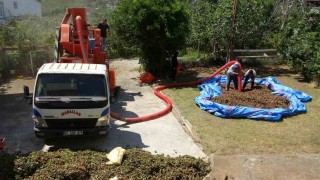 Fındıkta patoz mesaisi başladı: Saatlik ücreti 4 bin 500 TL