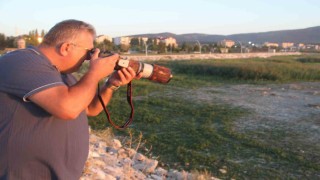 Fotoğraf tutkunu mali müşavir, kuş fotoğrafı için makinesini yanından ayırmıyor