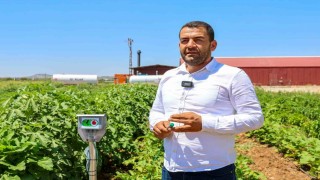 Gaziantep Büyükşehir, ata tohumlarına sahip çıkıyor