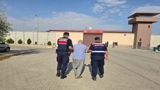 Gaziantepte aile içi kavgada öldürülen Eyüp Tiryakinin katil zanlısı babası ve amcası çıktı