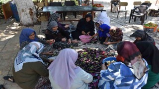 Gaziantepte kadınların imece usulü kurutmalık telaşı