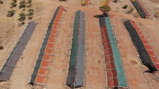 Gaziantep’te Kurutmalık Sebze Sezonu Renk Cümbüşü Oluşturdu