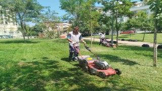 Gebze Tatlıkuyu Vadisi Kent Parkına düzenli bakım