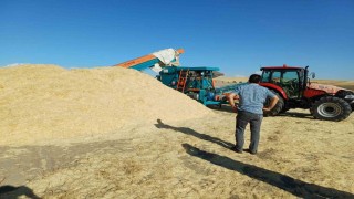 Geçen yıl tarlada çürüyen saman, bu yıl çiftçinin yüzünü güldürdü