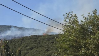Gedelek yangını ile ilgili 1 kişi gözaltına alındı