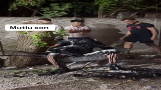 Gelenek değil, eziyet: Damadın üstüne motor yağı döktüler