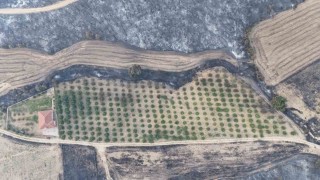 Gelibolu yangınında herkesin yüreğini ferahlatan görüntü