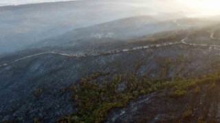 Geliboluda büyük ölçüde kontrol altına alınan orman yangınında yanan yerler dronla görüntülendi