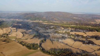 Geliboluda çıkan orman yangınının verdiği tahribat dron ile görüntülendi