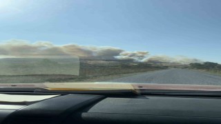 Geliboluda orman yangını