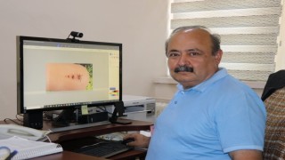 Gelişigüzel yapılan ilaçlamalar kene patlamasına neden olabilir