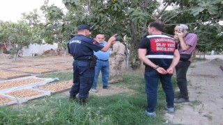 Germencikte incir hırsızlığına karşı jandarmadan sıkı denetim