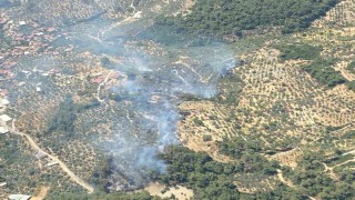 Germencikte orman yangını