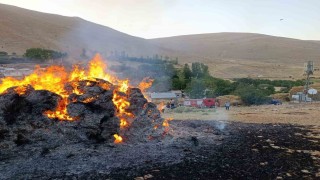 Gevaşta ot yangını