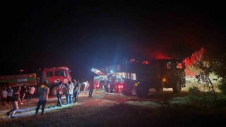 Geyvede çıkan yangında 5 dönüm alan zarar gördü