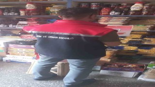 Gıda satıcılarına yönelik denetimler sürüyor