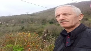 Giresunda armut ağacından düşen adam öldü