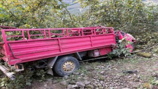 Giresunda kamyonet fındık bahçesine yuvarlandı: 4 ölü, 1 yaralı