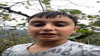 Giresunlu küçük Talha fındığını Gazze için topluyor