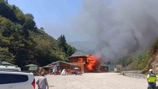 Giresunun gözde tabiat parkında yangın felaketi