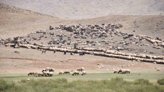 Göçerler yayladan inmeye başladı