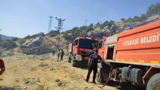 Gölbaşında orman yangını