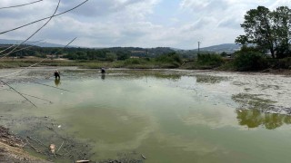 Gölette can çekişen onlarca balık kurtarıldı