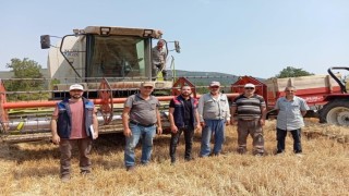Gölpazarında hasat kontrolleri tüm hızıyla sürüyor