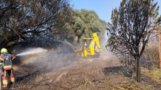 Gömeçte arazi yangını: Ekiplerin müdahalesi sürüyor