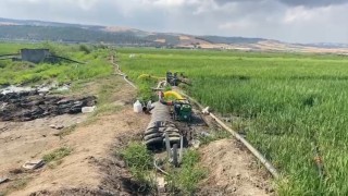 Gönen Ovasında çeltik tarlaları susuz kaldı