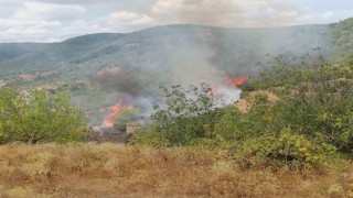 Gönende bahçe ve arazi yangını paniğe neden oldu