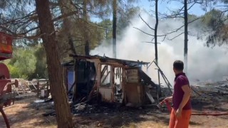 Gönende çamlık alanda yangın paniği: Arı kovanları zarar gördü