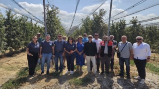 Gönende kahverengi kokarca zararlısına karşı eğitim verildi