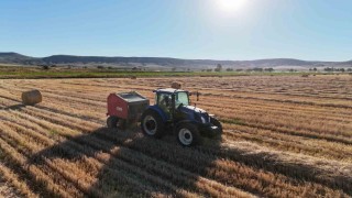 Görüntüsüyle kartpostalları andırıyor, 7 bin dekar alanda çalışmalar sürüyor