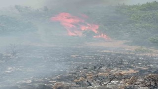 Gümüşhanede çobanın yaktığı ateş yangına sebep oldu