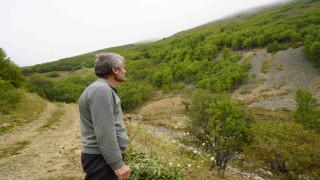 Gümüşhanede emekli imam kendi imkânlarıyla köyüne 50 bin ağaç dikti