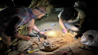 Gürcistanda 1,8 milyon yıllık bir alt çene kemiği bulundu