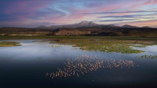 Hacılarda doğaseverler için saklı cennet: Hürmetçi Sazlığı