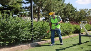 Hacılarda haşereye karşı etkin mücadele