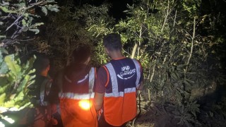 Hakkaride orman yangını