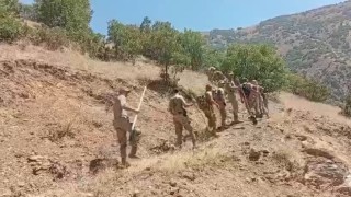 Hakkarideki orman yangınlarında askerler ve köylüler seferber oldu