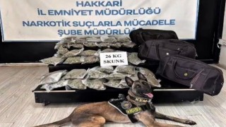 Hakkâride kamyonette 26 kilogram skunk ele geçirildi: 1 şüpheli tutuklandı