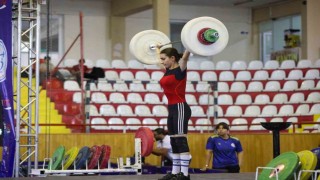 Halter Yıldızlar Kulüpler Türkiye Şampiyonası Sivasta başladı