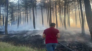 Hanönüde çıkan orman yangını söndürüldü