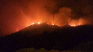 Hassada çıkan yangında iki mahallede toplam 540 kişi tahliye edildi