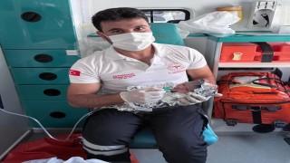 Hastaneye götürülürken ambulansta doğum yaptı