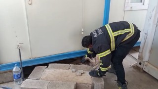 Hatayda konteynerin altına sıkışan köpek kurtarıldı