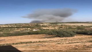 Hatayda orman yangını