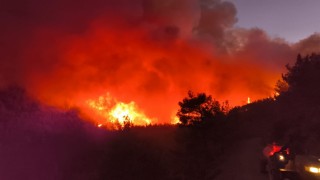 Hatayda orman yangını