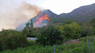 Hatayda orman yangını